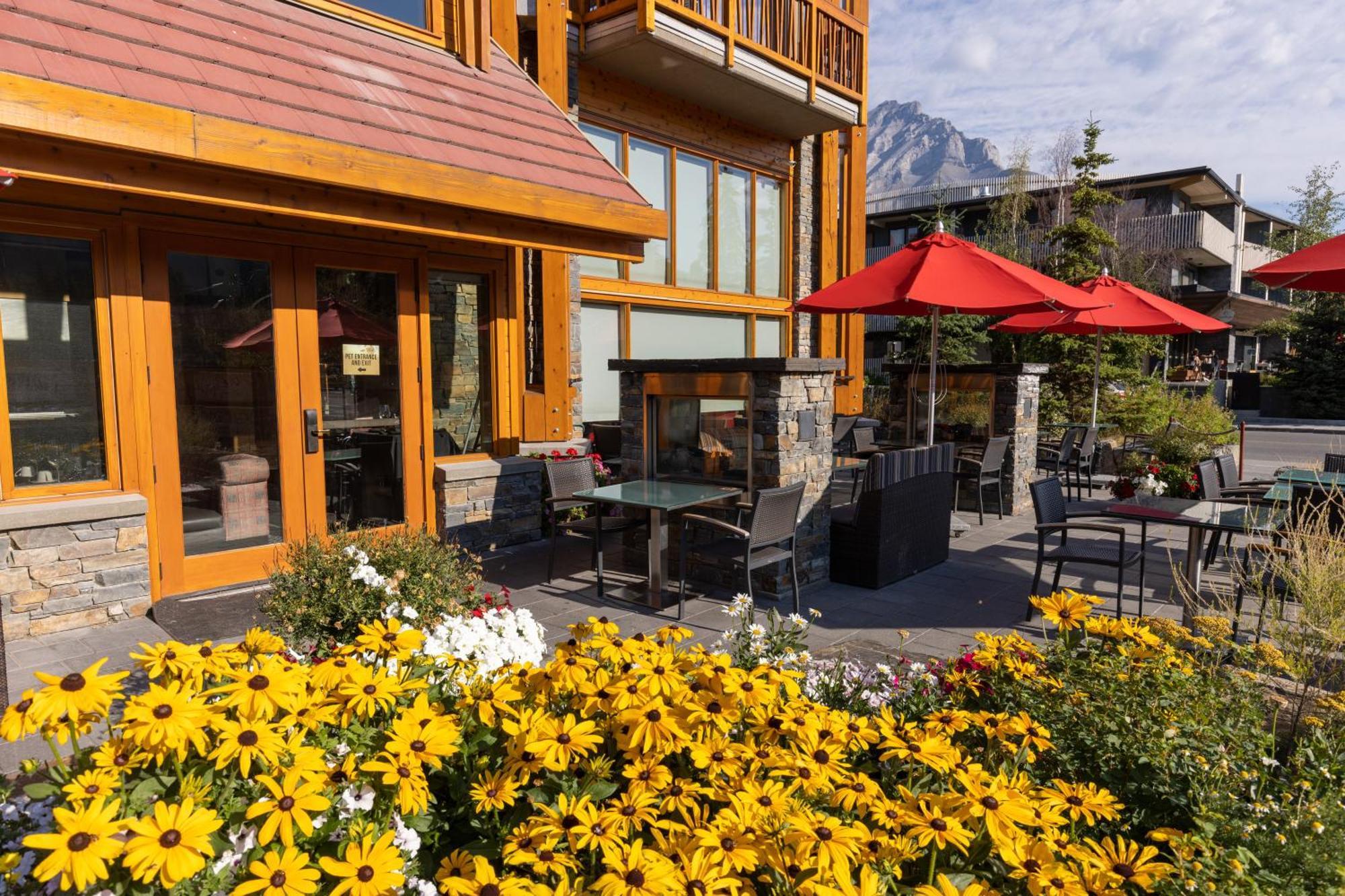 Moose Hotel And Suites Banff Dış mekan fotoğraf